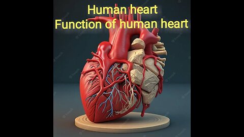 Human heart | heart beat of human heart | heart and lungs