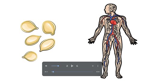 The Surprising Benefits of Eating Pumpkin Seeds Daily: What Happens to Your Body