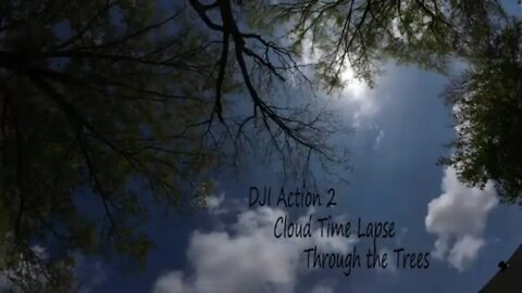 DJI Action 2 - Cloud Time Lapse through the Trees