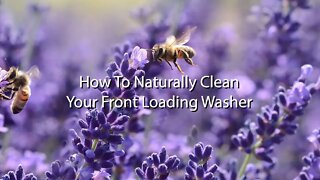 Clean Front Load Washer