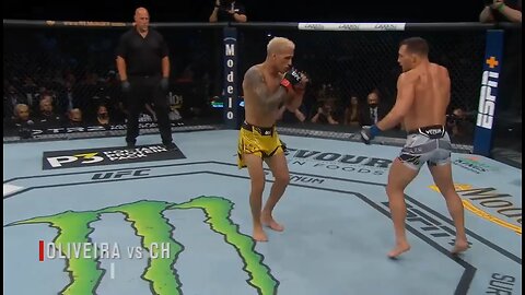 The best knockout of UFC history.