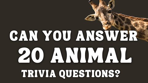 Animal Quiz Game - Can You Answer These Animal Questions