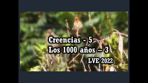 Creencias 5 - Los 1000 años 3