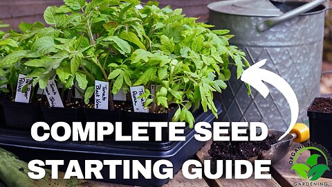 How to Start Seeds Indoors Easy: A Complete Beginner's Guide