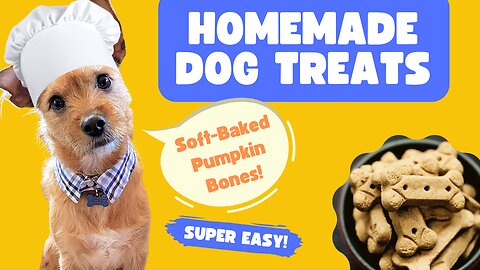 Easy Homemade Dog Treats! Five Ingredients, Soft-Baked Pumpkin Dog Bones - DIY Treats!