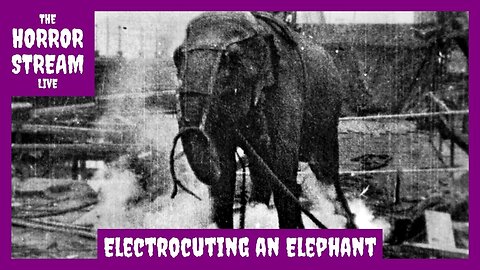 Electrocuting an Elephant [Wikipedia]