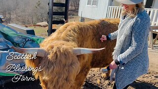 THE SCOTTISH BLESSINGS FARM VISIT