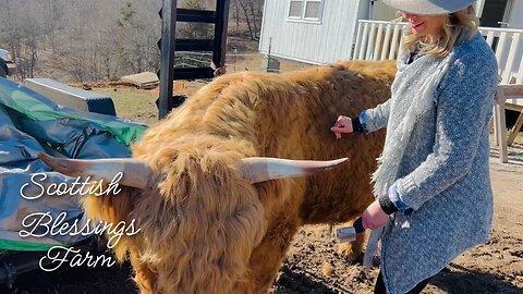 THE SCOTTISH BLESSINGS FARM VISIT