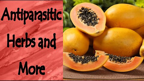 Antiparasitic Herbs, Foods, and More
