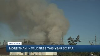 More Than 1k Wildfires in Florida This Year