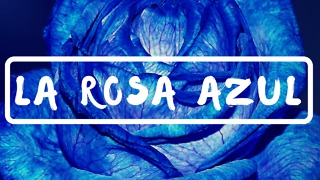 La Rosa Azul: Una Historia Sobre El Jardín De Dios
