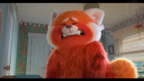 TURNING RED (BIG CAT) | Disney Pixar Animation Adventure