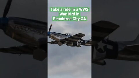 Take a ride in a WW2 fighter plane. #fighterplane #warbirds #movingtopeachtreecity