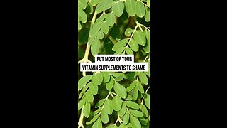 Moringa: The Miracle Superfood!