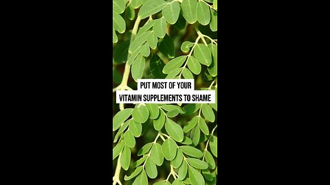 Moringa: The Miracle Superfood!