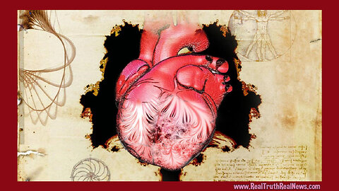 The Mysterious and Magnificent Human Heart New Evidence Suggests the Heart Is Not a Pump