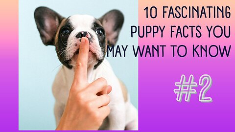 10 fascinating puppy facts you may want to know number 2