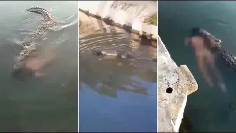 crocodile kills man in notorious lagoon FULL VIDEO LINK IN DESCRIPTION