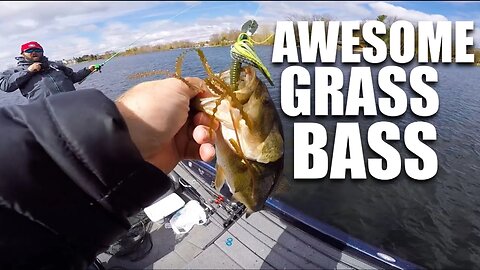 Bladed Jig Fishing Grass -- (My NEW Favorite Bait?)