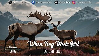 Le Caribou - When Boy Meets Girl
