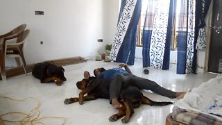 How to enjoy in your own home ? In Lockdown Situation || Mr.Bolt