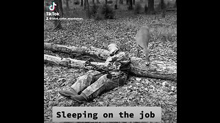 Sleeping on the job