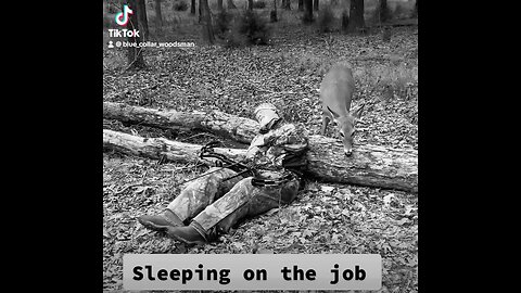 Sleeping on the job