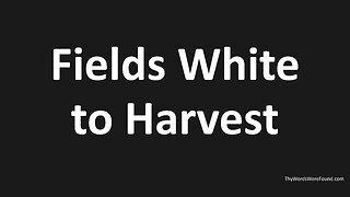John 4:31-38 - Fields White To Harvest, Service