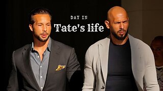 A Day in Tate's life