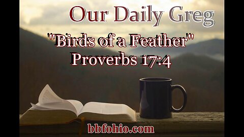 447 Birds of a Feather (Proverbs 17:4) Our Daily Greg