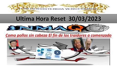 30/03/2023 Como pollos sin cabeza El fin de los traidores a comenzado