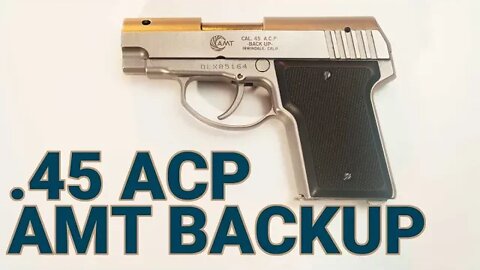 Found on Guns.com: The AMT Backup in .45 ACP