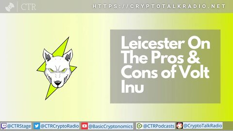 [RECORDED JAN 6 2022] Leicester Takes A SWAG On The Pros And Cons Of Volt Inu