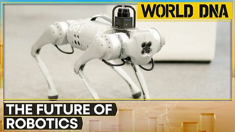 AI-powered robotic dog companion | WION World of DNA
