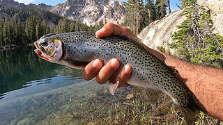 Sawtooth Mountains: Backpacking 20 Miles for High Alpine Trout (Part 2)