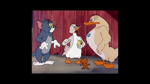 Tom and Jerry, 47 Episode - Little Quacker (1950)