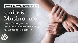 ADAPTOGENS | Finding harmony and unity in crazy times