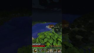 Minecraft 1.19 Survival Realms THE DEEP! New Server Fresh Start Java Edition PC SMP LP TikTok Gaming