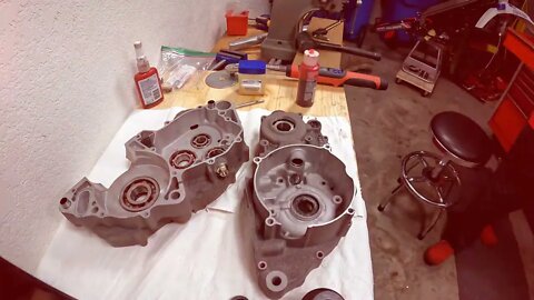 Project Fumatore 250R, Engine Bottom-End Assembly