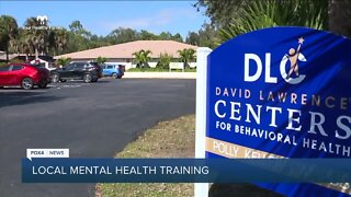 Your Healthy Family: David Lawrence Centers to offer mental health training