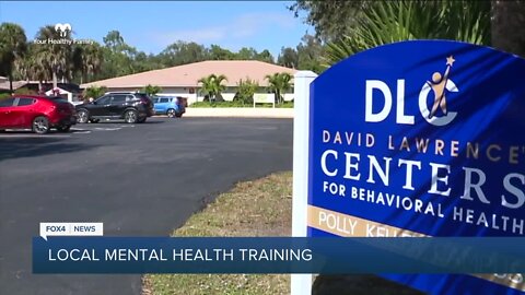 Your Healthy Family: David Lawrence Centers to offer mental health training