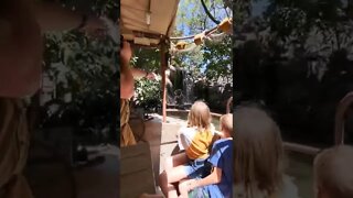 Jungle Cruise Ride At Disneyland 2022 #shorts