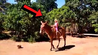 OLHA ESSA CRIANÇA MONTANDO NO BURRO DENGOSO