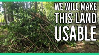 Lets Get This Brush Pile Ready To Burn in the Winter |Thinning using a Remington RM4620 Chainsaw|