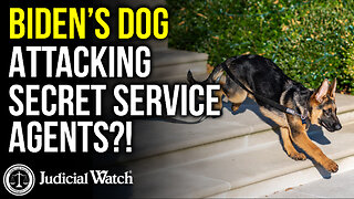 OUT OF CONTROL: Biden’s Dog Attacking Secret Service Agents?!