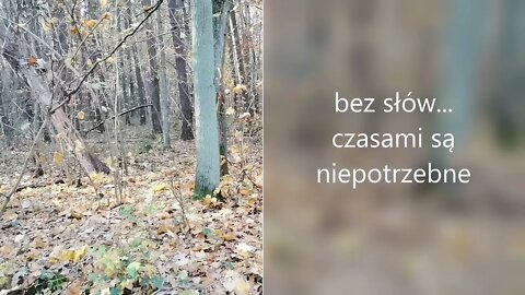 bez słów … czasami są niepotrzebne... Anna Budzik