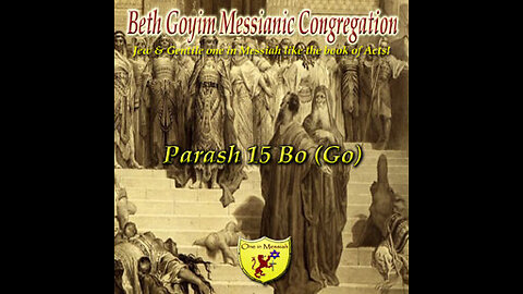 P068 Parash 15Bo Sh’mot/exodus 10:1-13:16