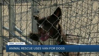 Animal Rescue Uses Van For Dogs