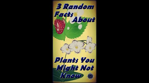 3 Random Facts About Plants You Might Not Know #Shorts