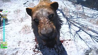 Far Cry Primal 4K HDR PC Gameplay